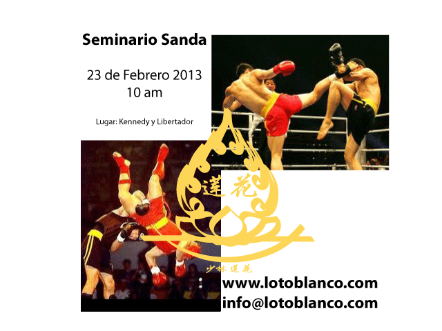 Seminario-Sanda-Febrero-2013