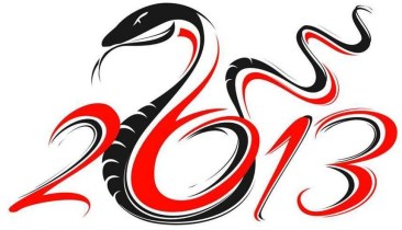Año de la Serpiente de Agua 2013
