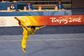 Wushu 2